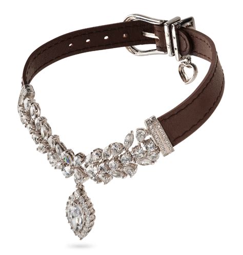 most expensive dog accessories